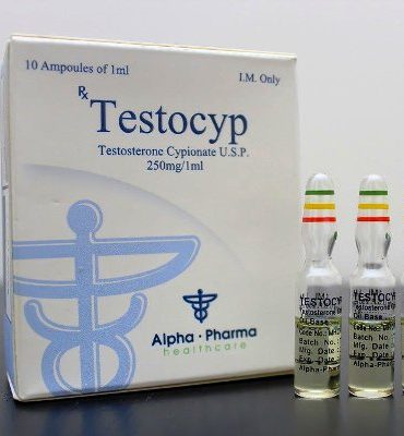 Testosterone Cypionate 10 ampullit (250mg/ml) online by Alpha Pharma, Watson analogue